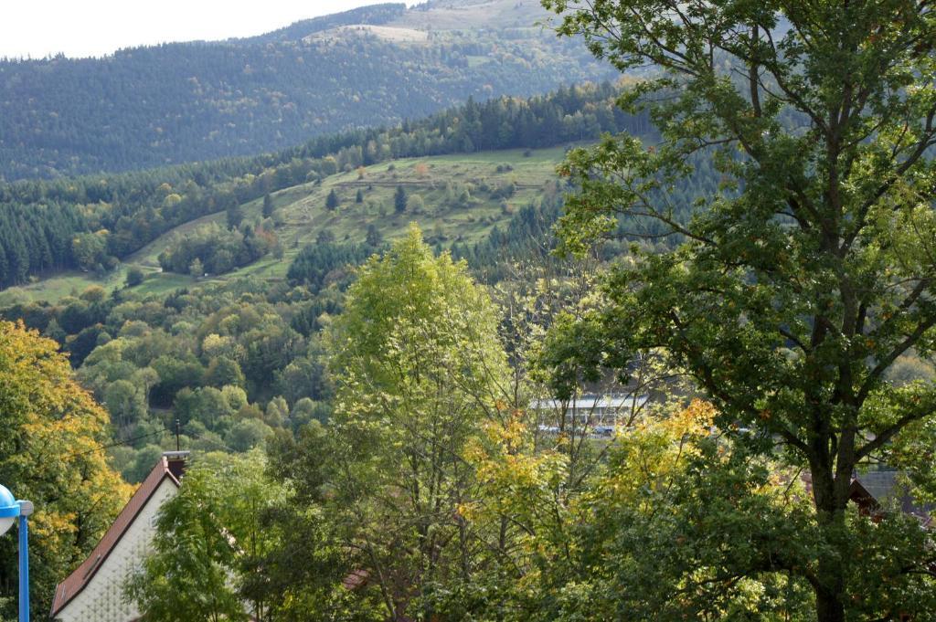Hotel Restaurant Perle Des Vosges Muhlbach-sur-Munster Luaran gambar