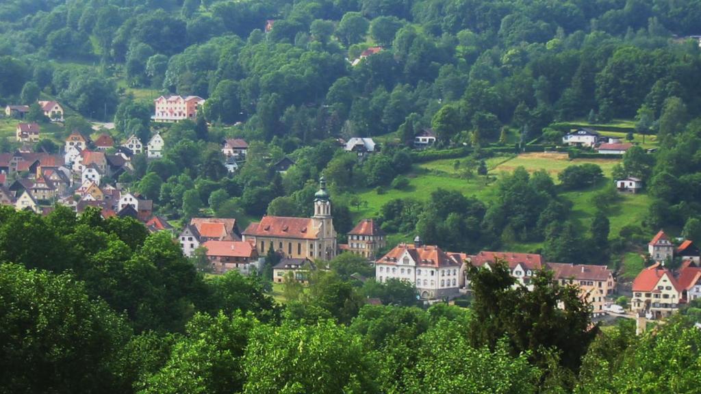 Hotel Restaurant Perle Des Vosges Muhlbach-sur-Munster Luaran gambar